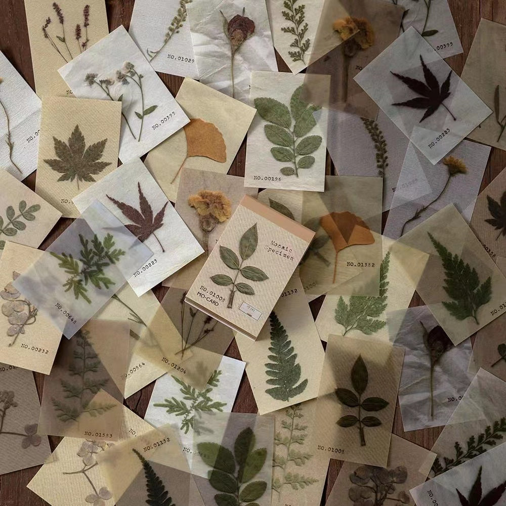 Flower/Plant Paper for Wax Seals Scrapbook